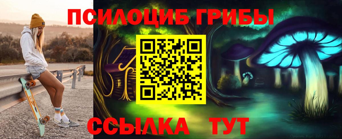 Тавда  Галлюциногенные грибы Psilocybe  Галлюциногенные грибы мухоморы  Вход с VPN 